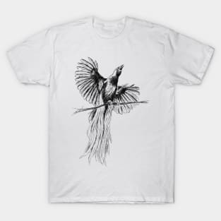 Bird Of Paradise Print T-Shirt